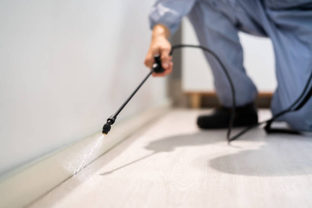 Licensed Pest Control service in Brooklyn Park, MN - Show Me Pest Control