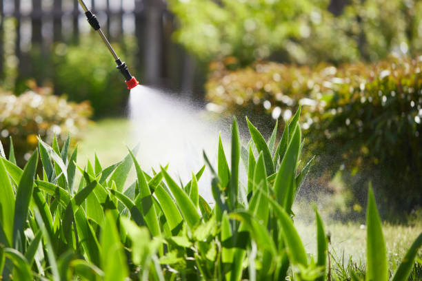 24/7 Emergency Wasp Removal experts in Brooklyn Park, MN