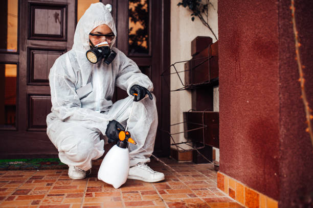 Reliable Wasp Removal contractor in Brooklyn Park, MN by Show Me Pest Control